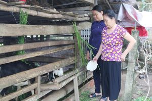 Đa dạng mô hình sinh kế giúp người dân Vũ Quang ổn định cuộc sống