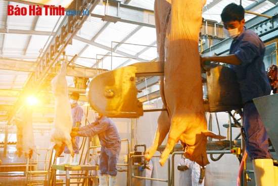 Khoa học công nghệ - đòn bẩy cho sự phát triển của Mitraco Hà Tĩnh ảnh 1 Khoa học công nghệ - đòn bẩy cho sự phát triển của Mitraco Hà Tĩnh ảnh 1