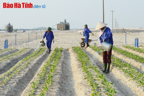 Khoa học công nghệ - đòn bẩy cho sự phát triển của Mitraco Hà Tĩnh ảnh 2 Khoa học công nghệ - đòn bẩy cho sự phát triển của Mitraco Hà Tĩnh ảnh 2