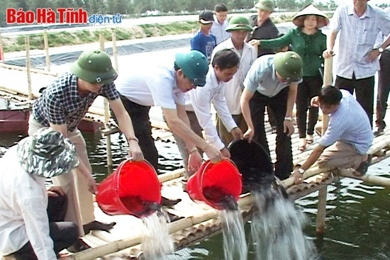 Dự án nuôi cá mú, cá bơn của Công ty CP sản xuất và Nuôi trồng thủy sản Hoàng Dương triển khai tại xã Xuân Liên mở ra hướng phát triển mới trong nghề NTTS ở Nghi Xuân