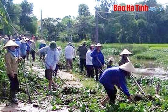 Thạch Hà huy động 4.000 người trục vớt bèo, khơi thông dòng chảy ảnh 2