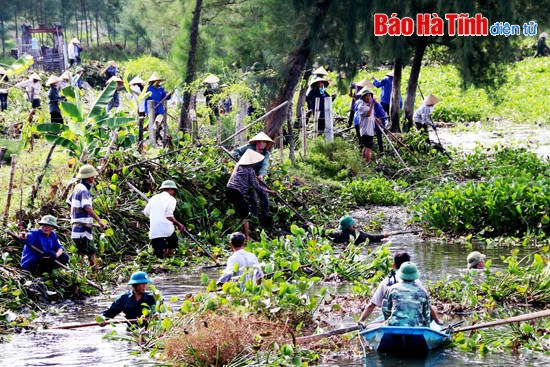 Thạch Hà huy động 4.000 người trục vớt bèo, khơi thông dòng chảy ảnh 1