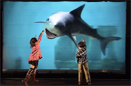 Setup phòng chiếu phim IMAX tại gia ảnh 3