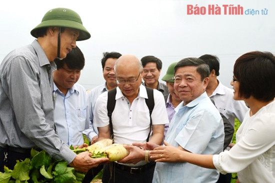 Mitraco Hà Tĩnh - Bứt phá, khẳng định vị thế doanh nghiệp đầu tàu ảnh 1