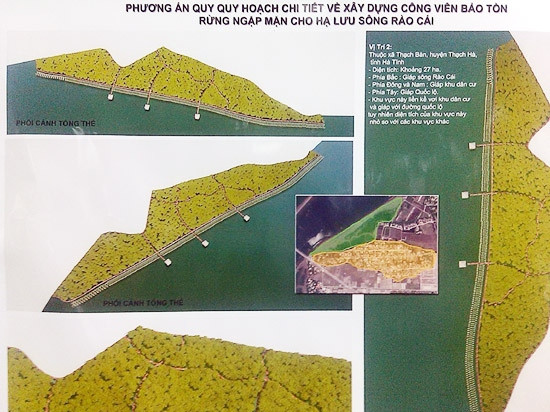 Phát triển rừng ngập mặn phải gắn với quản lý, chống biến đổi khí hậu ảnh 5