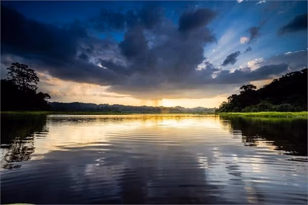 Thế giới huyền bí giữa rừng già Nam Cát Tiên ảnh 12