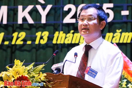 Đảng bộ huyện Hương Khê khai mạc Đại hội nhiệm kỳ 2015-2020 ảnh 5
