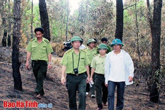 Thực hiện Đề án giao đất, giao rừng: Nguy cơ ”vỡ”” kế hoạch! ảnh 3 Thực hiện Đề án giao đất, giao rừng: Nguy cơ ”vỡ”” kế hoạch! ảnh 3