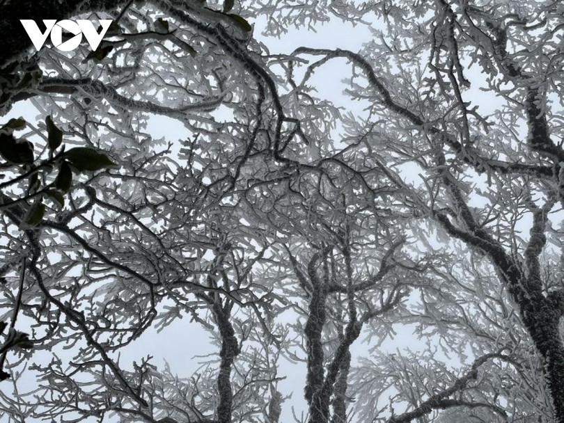 Băng giá phủ trắng trên đỉnh Mẫu Sơn, Yên Tử, Phja Oắc