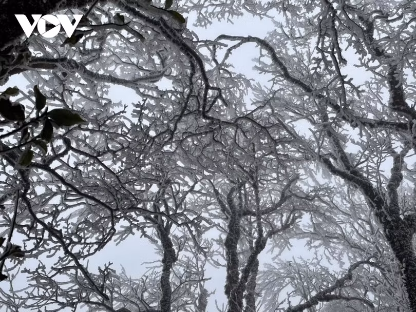 Băng giá phủ trắng trên đỉnh Mẫu Sơn, Yên Tử, Phja Oắc