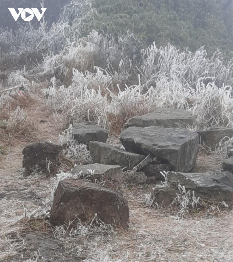 Băng giá phủ trắng trên đỉnh Mẫu Sơn, Yên Tử, Phja Oắc