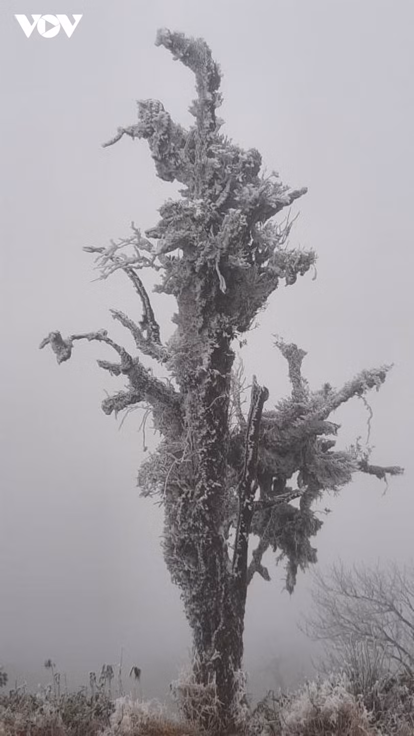 Băng giá phủ trắng trên đỉnh Mẫu Sơn, Yên Tử, Phja Oắc