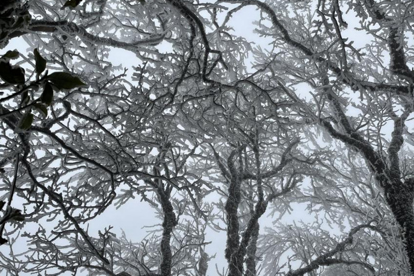 Cảnh tượng choáng ngợp tại ngôi làng bị đóng băng hoàn toàn ở Nga