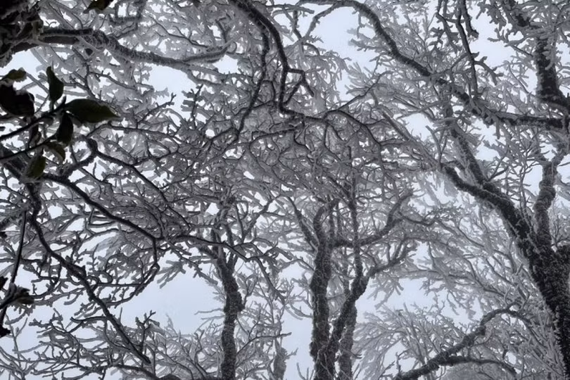 Cảnh tượng choáng ngợp tại ngôi làng bị đóng băng hoàn toàn ở Nga