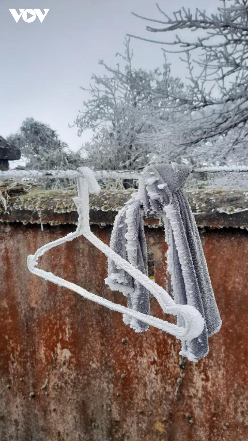 Băng giá phủ trắng trên đỉnh Mẫu Sơn, Yên Tử, Phja Oắc
