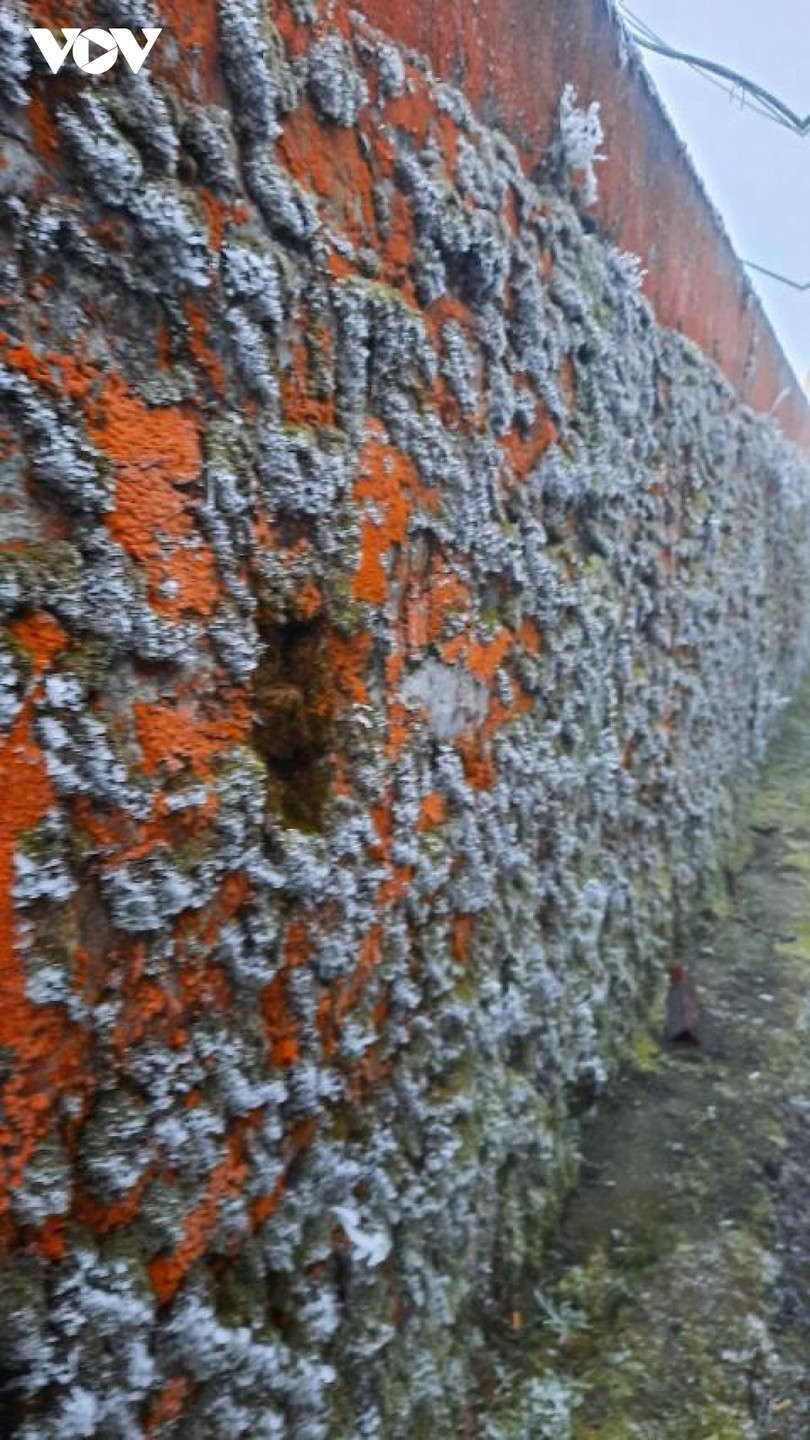 Băng giá phủ trắng trên đỉnh Mẫu Sơn, Yên Tử, Phja Oắc