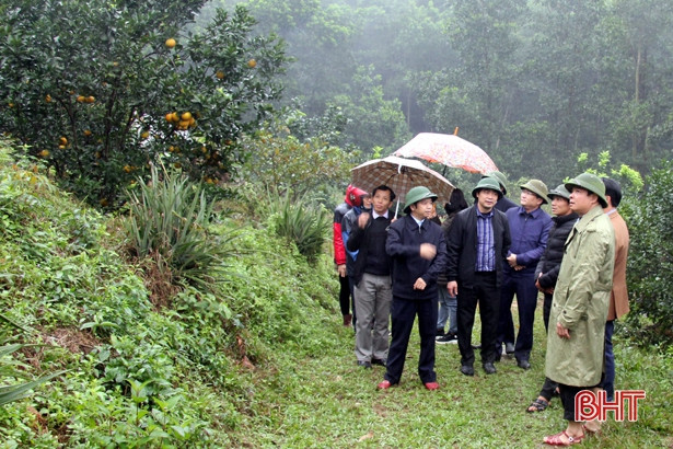 Hương Sơn cần nâng cao chất lượng các sản phẩm chủ lực để phát triển bền vững