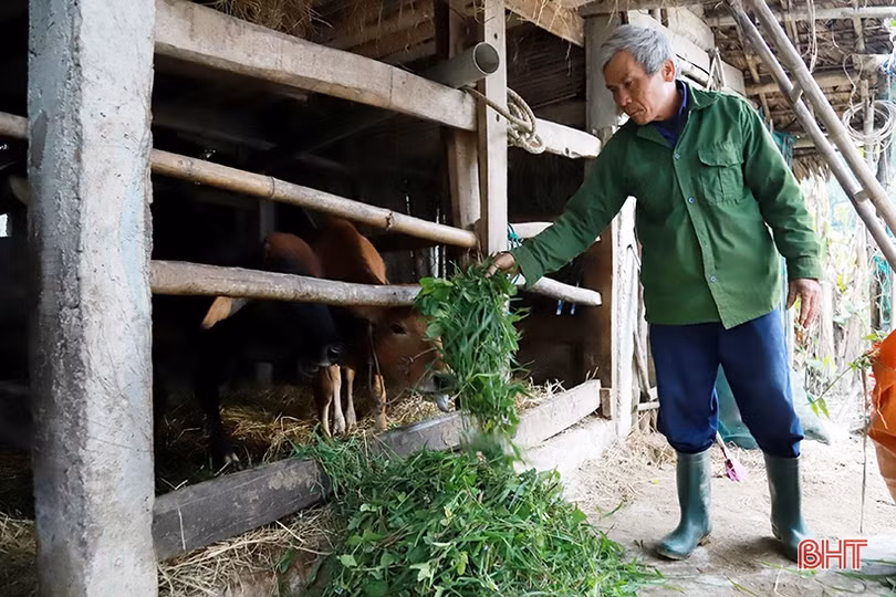 Xã từng ngập sâu ở Thạch Hà hồi sinh sau lũ