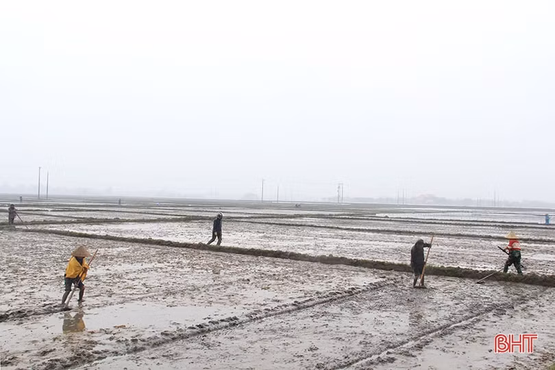 Vượt lên giá rét, người dân Hà Tĩnh nỗ lực duy trì lao động, sản xuất