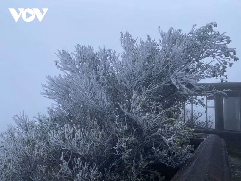 Băng giá phủ trắng trên đỉnh Mẫu Sơn, Yên Tử, Phja Oắc