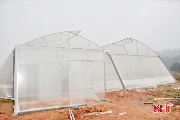 Liên minh HTX Việt Nam hỗ trợ HTX Hà Tĩnh thiết bị sản xuất, kinh doanh