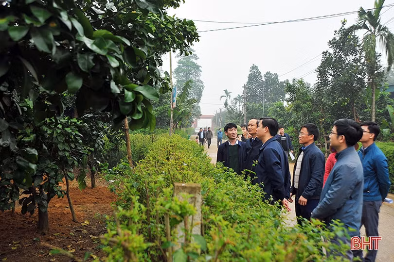 Xây dựng nông thôn mới từ vườn hộ là cách làm có chiều sâu của Hương Khê