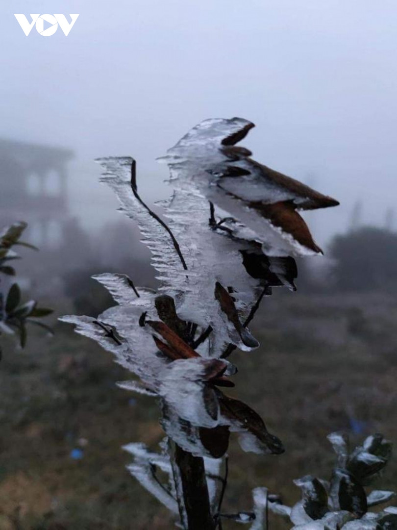 Băng giá phủ trắng trên đỉnh Mẫu Sơn, Yên Tử, Phja Oắc