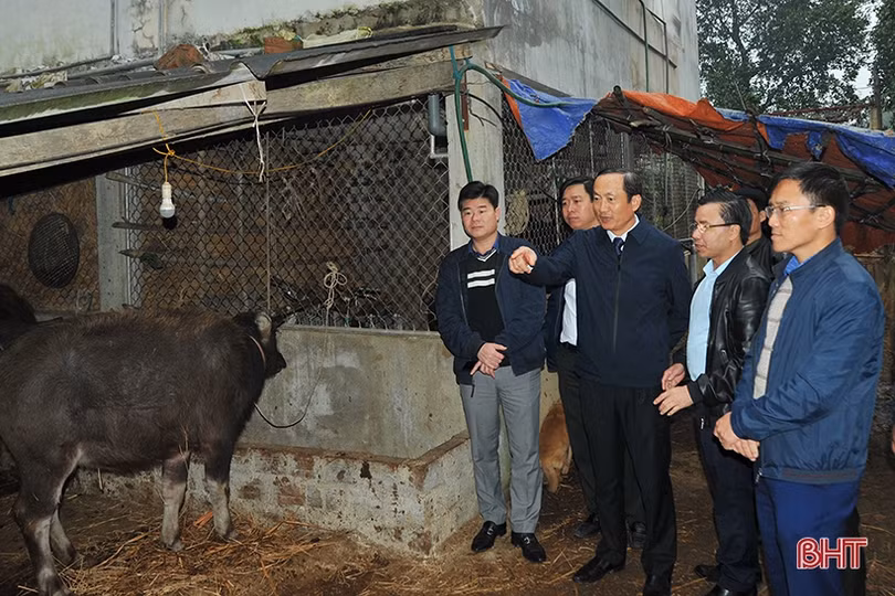 Xây dựng nông thôn mới từ vườn hộ là cách làm có chiều sâu của Hương Khê