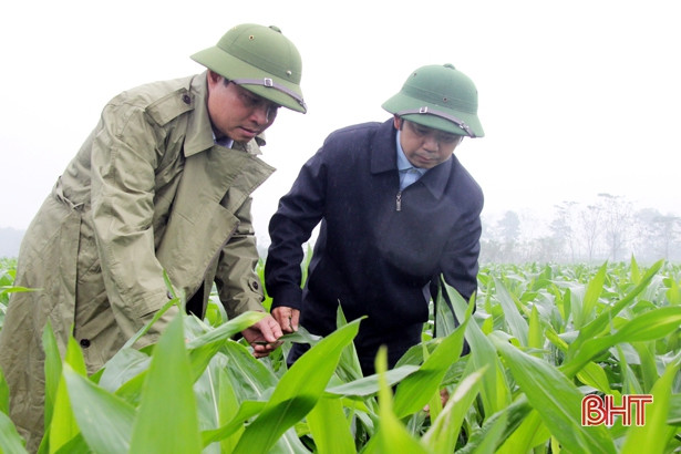 Hương Sơn cần nâng cao chất lượng các sản phẩm chủ lực để phát triển bền vững