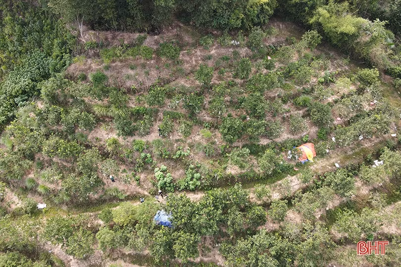 Chủ tịch hội phụ nữ xã nhiệt huyết với phong trào, làm kinh tế giỏi