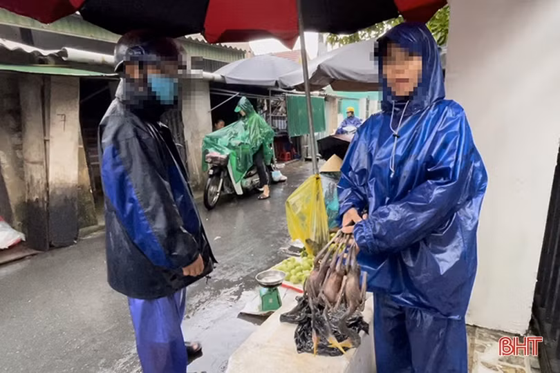 Chim trời được bày bán công khai ở chợ dân sinh
