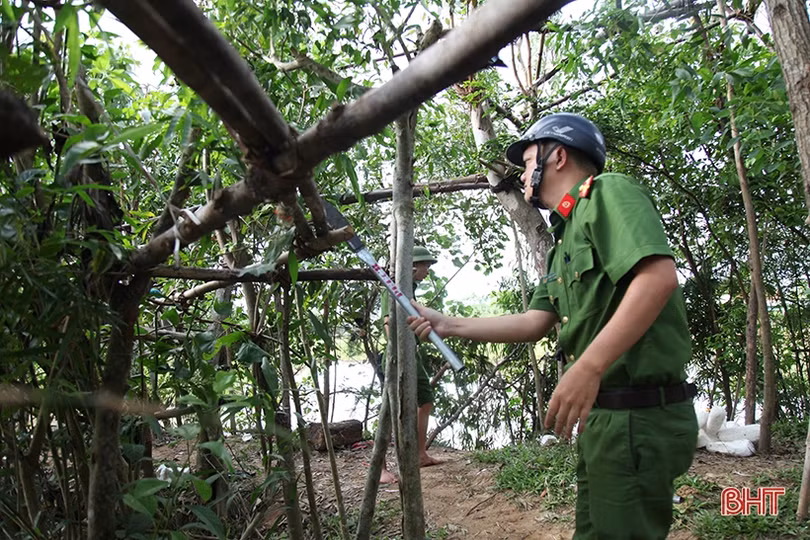Hà Tĩnh quyết liệt xử lý nạn săn bắt, buôn bán chim trời