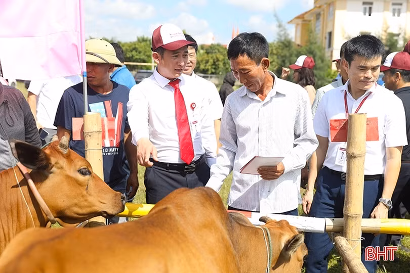 Agribank Hà Tĩnh II trao sinh kế, tiếp niềm tin cho người nghèo