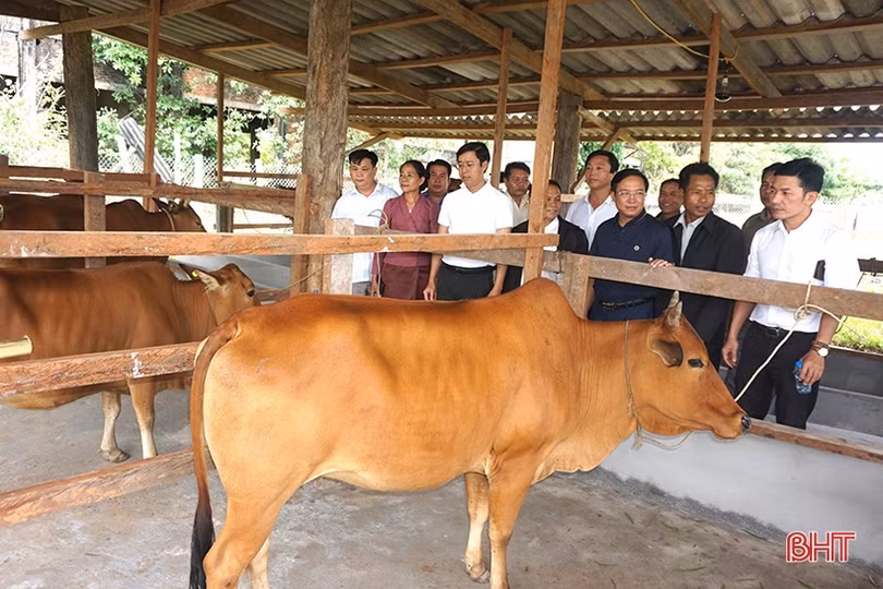 Hương Khê hỗ trợ nông dân Lào hơn 1 tỷ đồng phát triển nông nghiệp