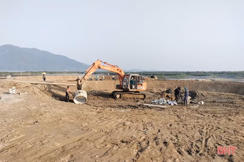 Vượt khó trong nuôi trồng, Hà Tĩnh thu gần 8.000 tấn thủy sản mặn lợ