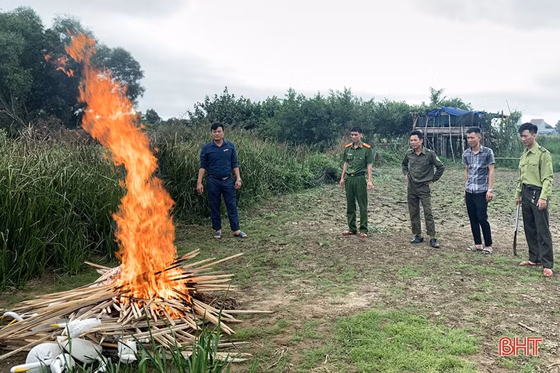Hà Tĩnh quyết liệt xử lý nạn săn bắt, buôn bán chim trời