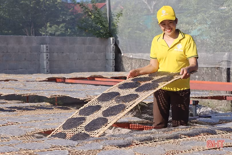 “Bà đỡ” cho phụ nữ xứ Cẩm khởi nghiệp