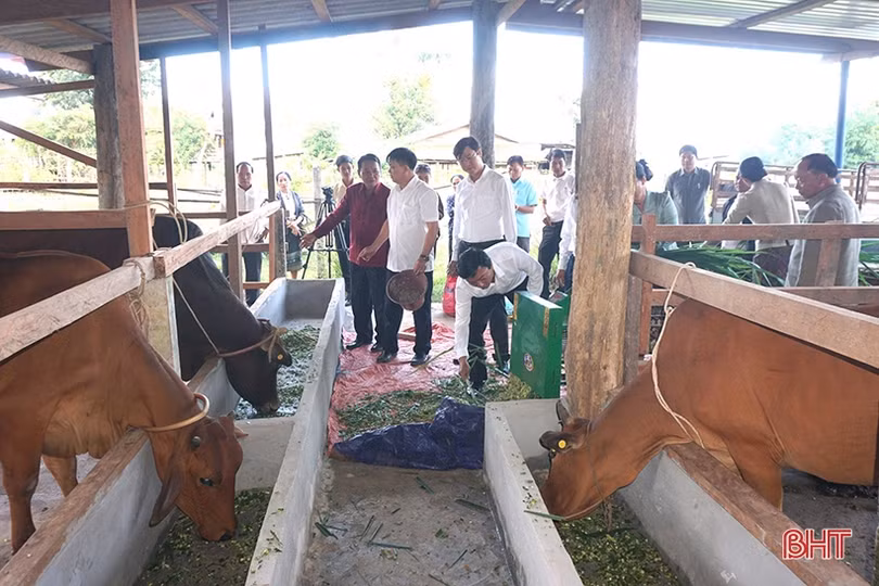 Hương Khê hỗ trợ nông dân Lào hơn 1 tỷ đồng phát triển nông nghiệp