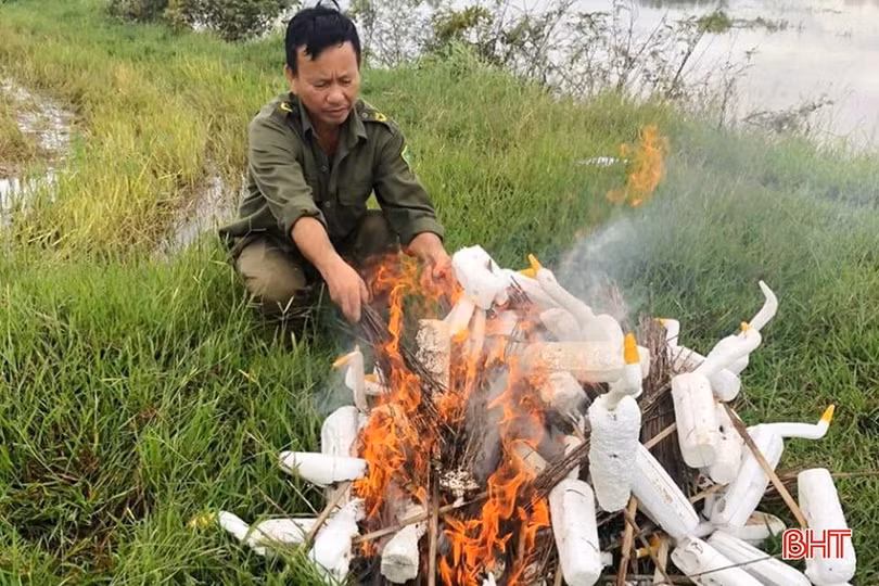 Hà Tĩnh quyết liệt xử lý nạn săn bắt, buôn bán chim trời
