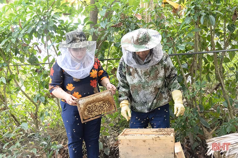 Chủ tịch hội phụ nữ xã nhiệt huyết với phong trào, làm kinh tế giỏi