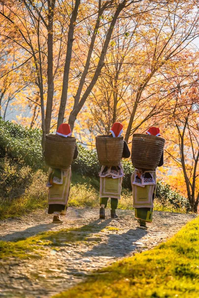 10 lý do để du lịch Việt Nam