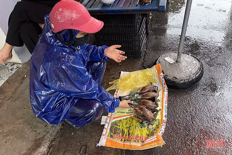 Chim trời được bày bán công khai ở chợ dân sinh