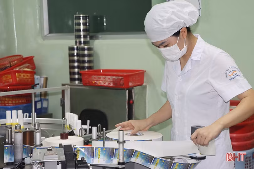 76,7% doanh nghiệp chế biến - chế tạo dự báo kinh doanh tốt và ổn định