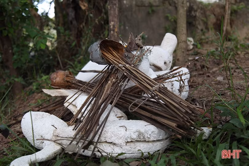 Hà Tĩnh quyết liệt xử lý nạn săn bắt, buôn bán chim trời