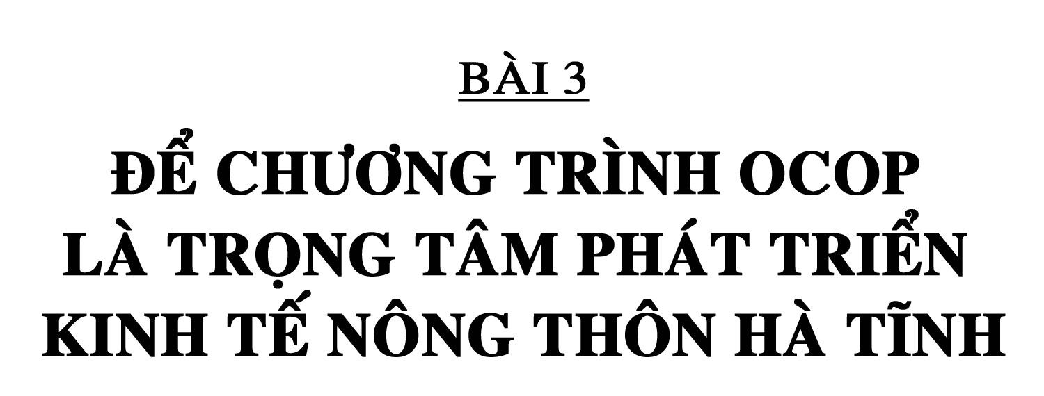 Chương trình OCOP - “đòn bẩy” phát triển kinh tế nông thôn (bài 3): Để chương trình OCOP là trọng tâm phát triển kinh tế nông thôn