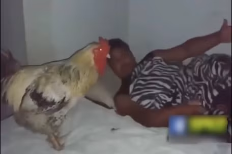 Top 10 mẫu đồng hồ nam giá từ 2 - 3 triệu đáng mua nhất ảnh 6 Top 10 mẫu đồng hồ nam giá từ 2 - 3 triệu đáng mua nhất