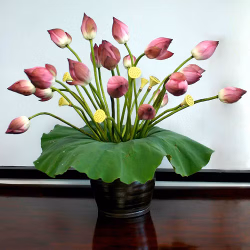 Học cách cắm hoa sen đơn giản mà tinh tế