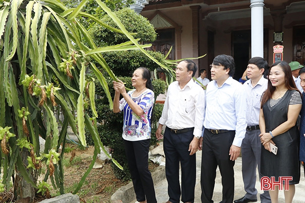 Đoàn công tác Ban Tuyên giáo Trung ương khảo sát thực tế tại Hà Tĩnh