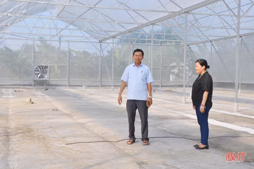 Mướt mắt vườn dưa lưới đạt chuẩn VietGAP đầu tiên ở Hà Tĩnh