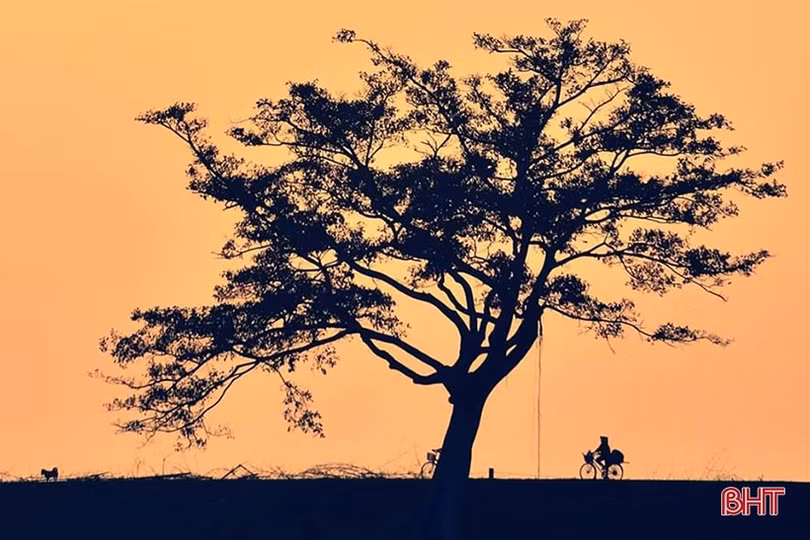 Đắm mình trong bóng hoàng hôn ở các miền quê Hà Tĩnh